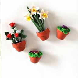 Maquet Flowers